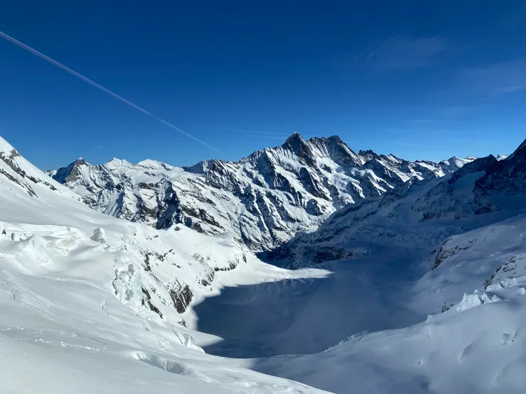 齒軌列車去程會中停景觀台,在這裡可以看到阿萊奇冰河
