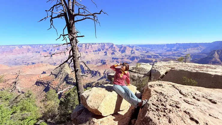 孤獨樹適合拍照