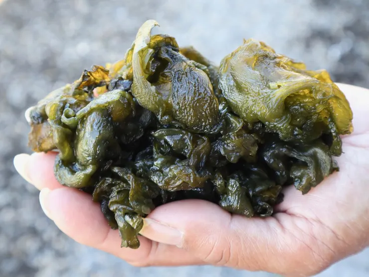 來源:上下游新聞