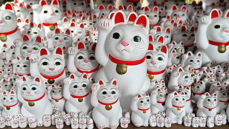 來趟豪德寺,保證身心都被療癒了