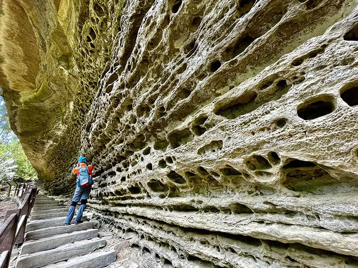 引用銀髮e起玩-石哥窟/蝙蝠洞