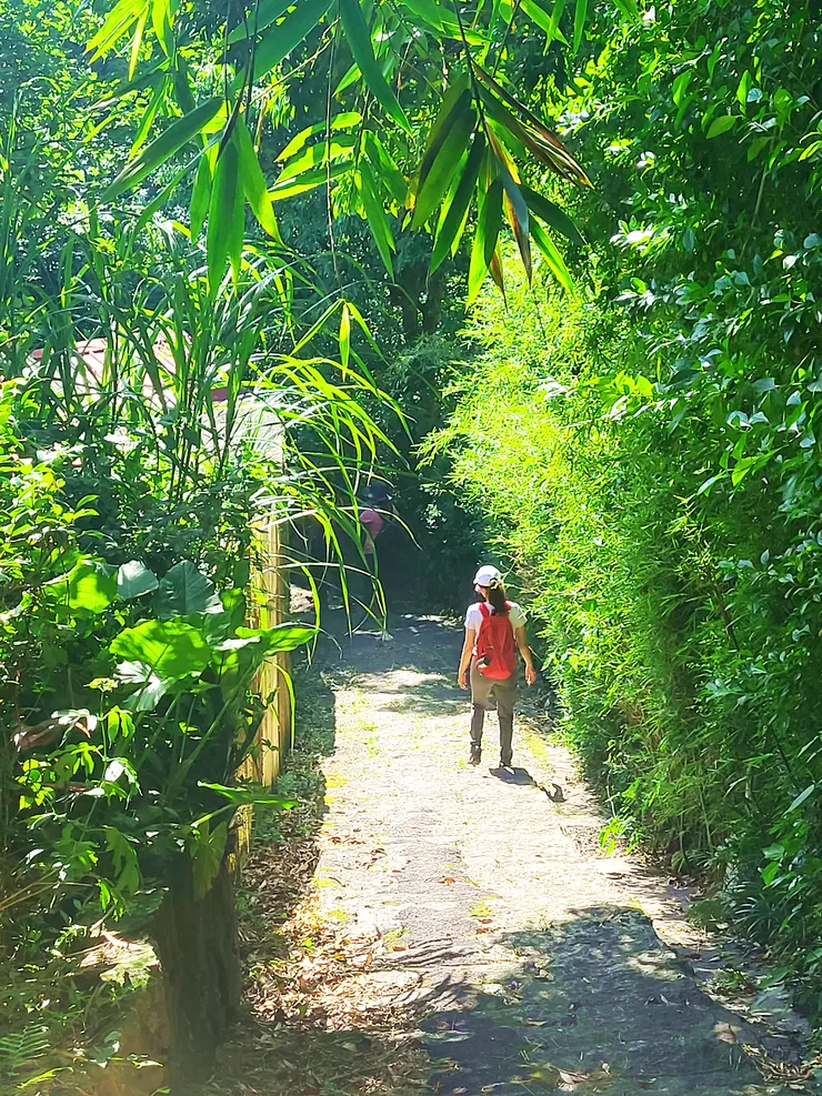 永公路235巷右轉