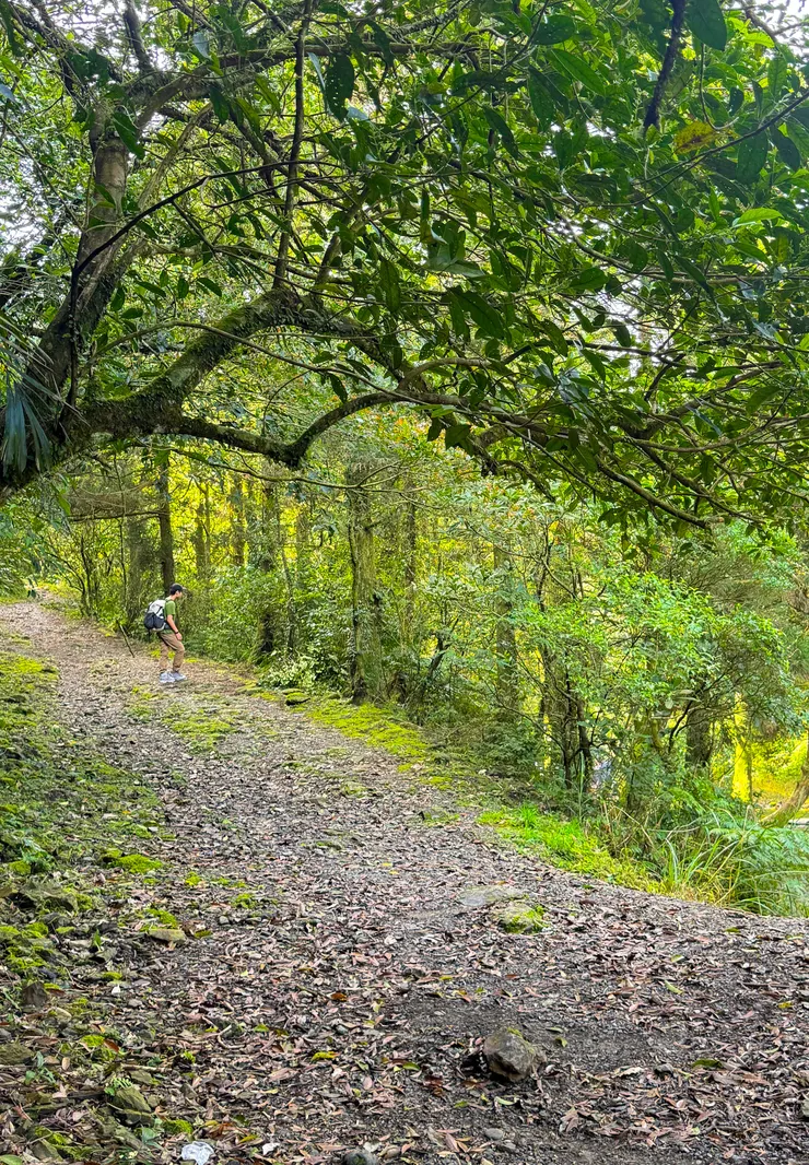 右手邊有1組野營的露友正在煮咖啡。