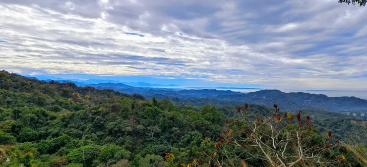 在觀景平台眺望，雲海在東邊近山處是白的，向西漸成一片淡灰霧霾。