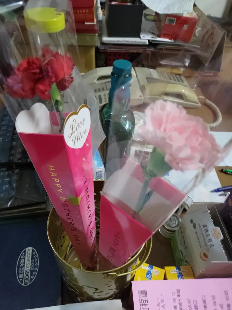 娘家有兩朵（星期六姐姐拜訪奶奶，才要送給她）