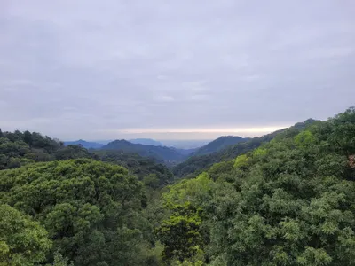 如果這個真相令你不適，你還願意接受真相嗎？