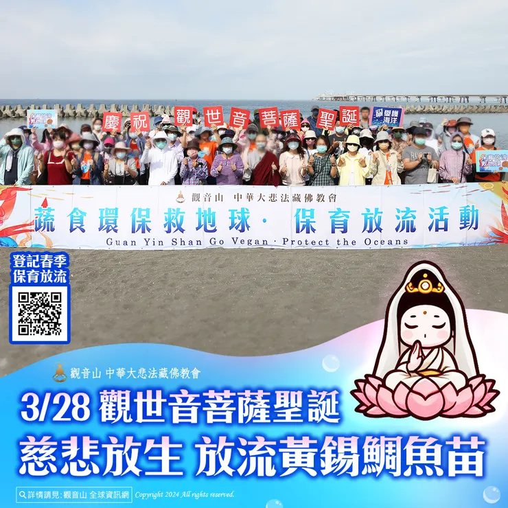 3月28日 觀世音菩薩聖誕慈悲放生 觀音山放流黃錫鯛魚苗