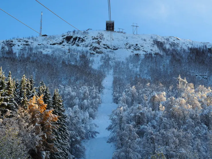 從纜車上回頭看來時路，不得了呀這個景色！金黃色的！