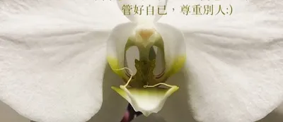 Hsin-Wen Lee的沙龍