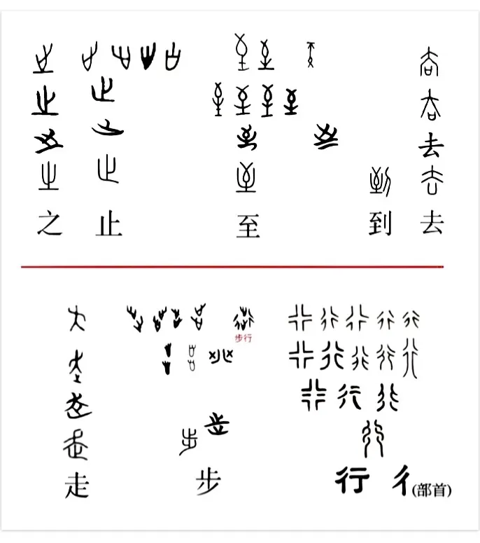 【附圖：「之、止、至、到、去、走、步、行」字形演化】