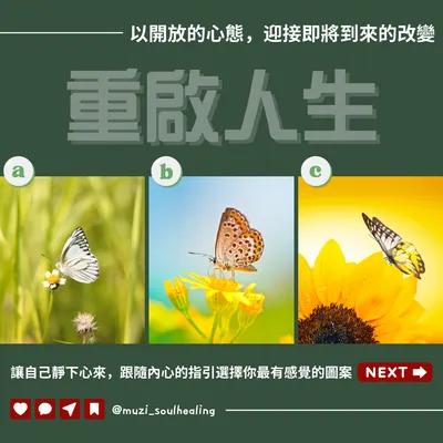 ｜大眾占卜🔮重啟人生｜重新開啟一段新的人生旅程吧！
