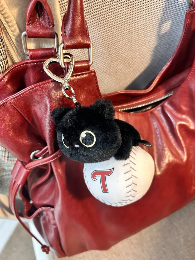 從去年迷上韓國職棒,支持的隊伍是「LG TWINS」!