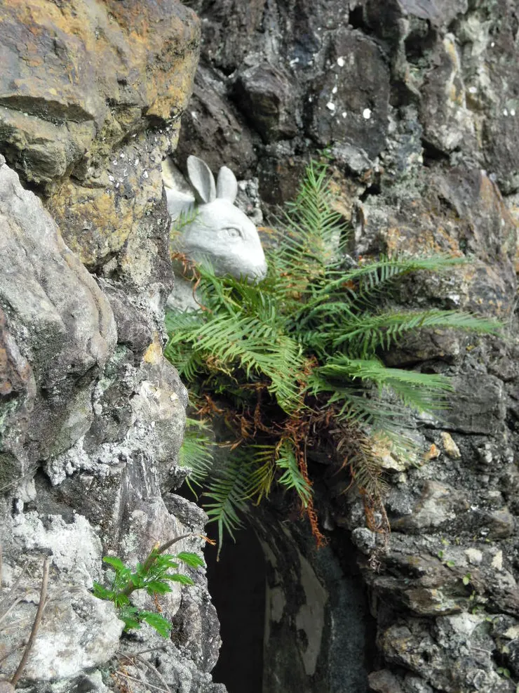 2023兔年放隻應景且最難找的兔子