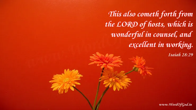 from www.wordofGod.in