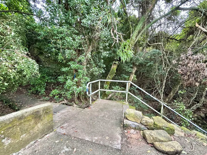 這一次匆匆走過分叉口，沒有自己拍的照片，照片由星島報導提供