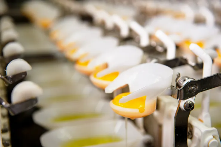 圖說：勤億蛋品科技嘉義總廠擴充產線，7月完工試運轉，導入最新的丹麥智能打蛋機等設備，全面智慧升級，整體產能躍升150%。（資料來源：勤億蛋品科技）