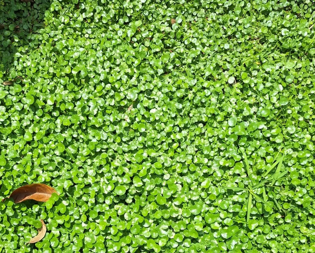 一些跳躍的想法