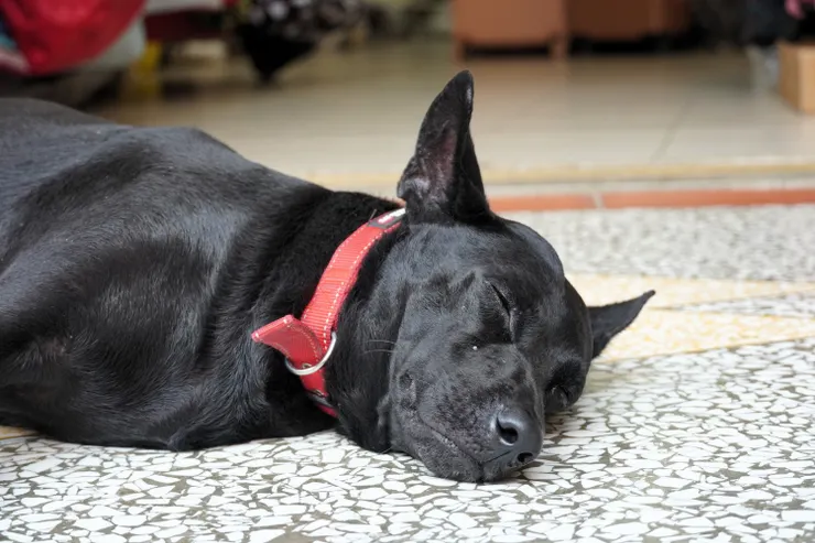 適時讓腦袋放空一下!