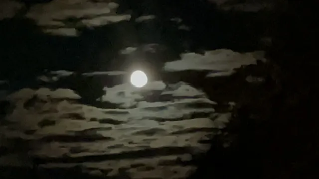 高緯度國家的秋月好像特別清冷。