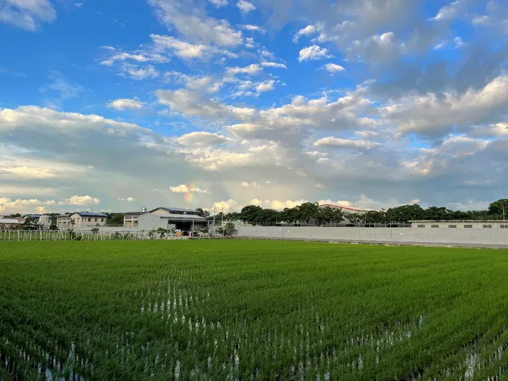 爸爸生前最愛在此眺望遠方