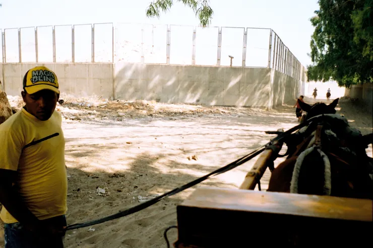 小心埃及人詐騙