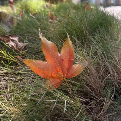 探索中，於是產生表達