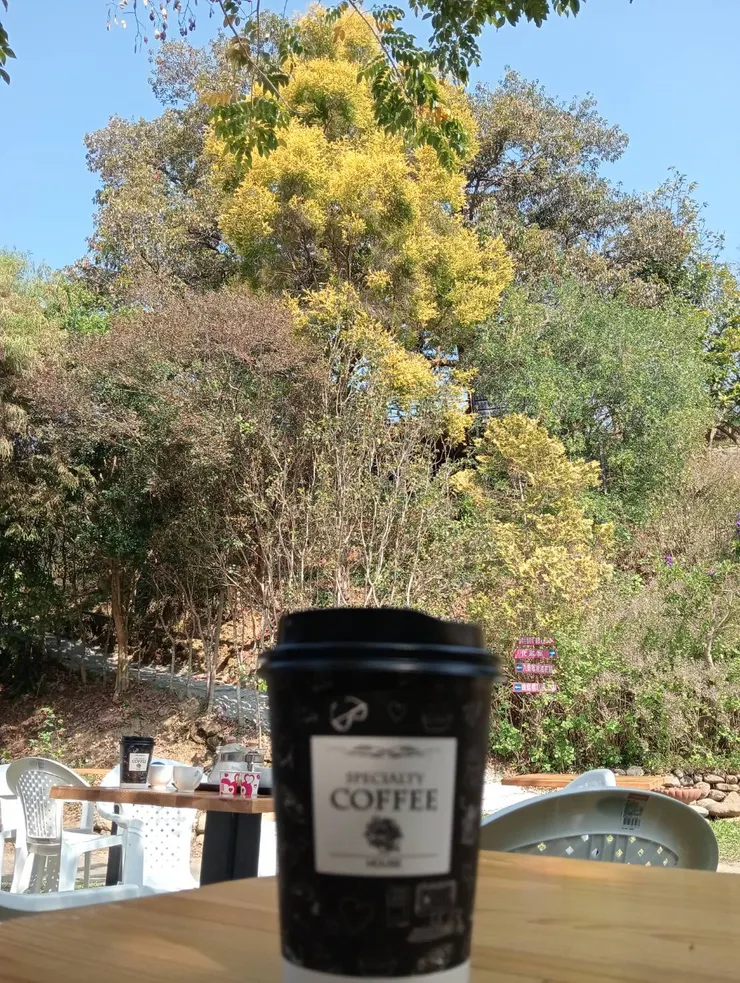 療癒賞🌸喝杯☕️咖啡