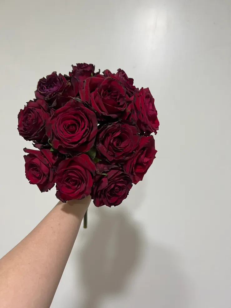 完成了☑️今日的練習！