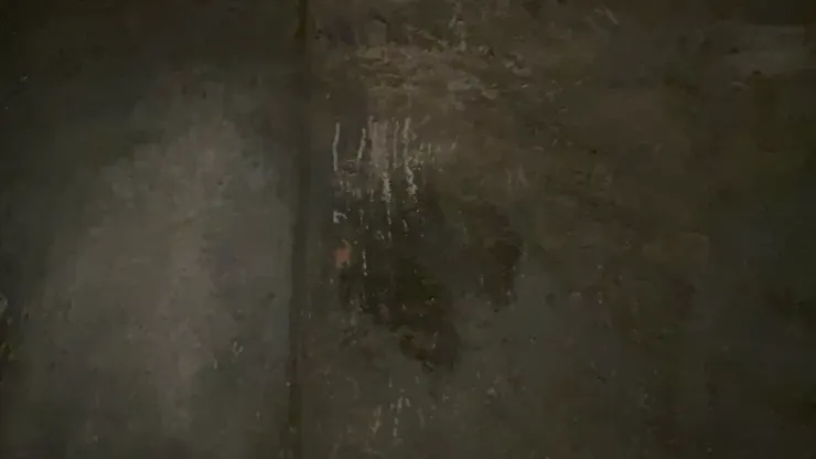 毒氣室牆上滿是掙扎的痕跡