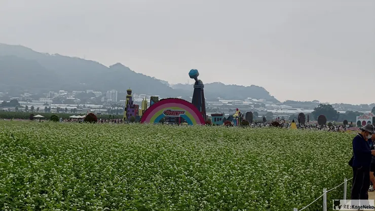 花毯節