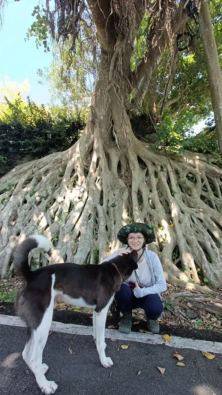 在特別的樹根前和狗狗拍照