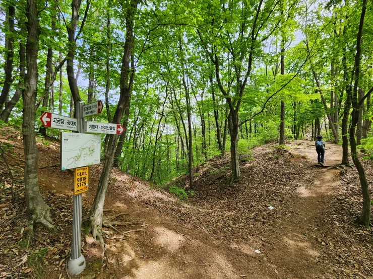 路線清楚，指標明確