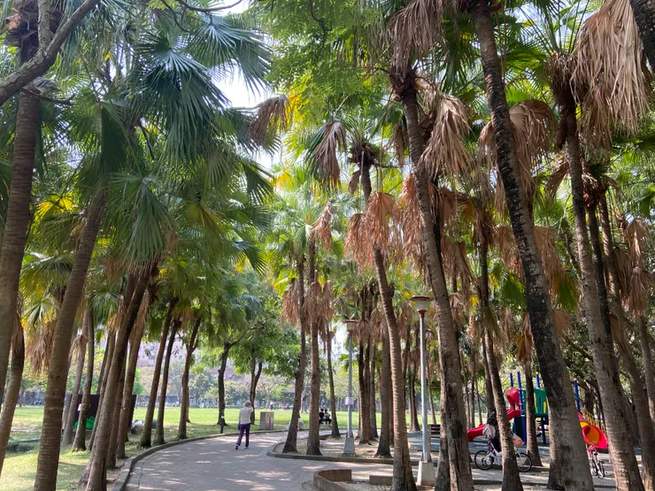 遊樂設施旁的綠茵小道