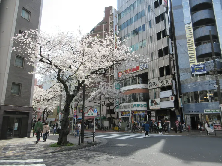 日暮里繊維街入口