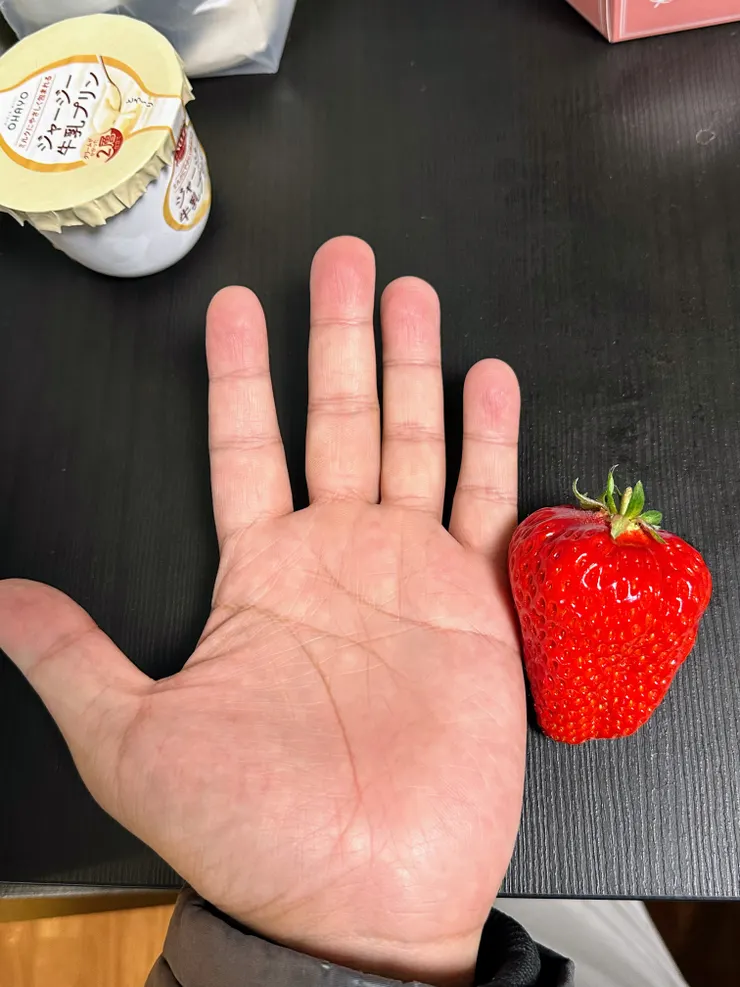 半個巴掌大的草莓果然沒有讓我們失望