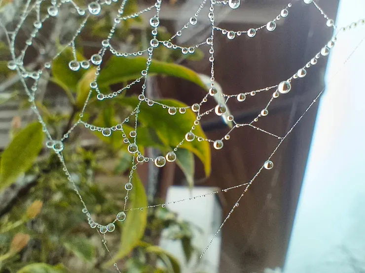 這一張水晶網做「水晶項鏈」