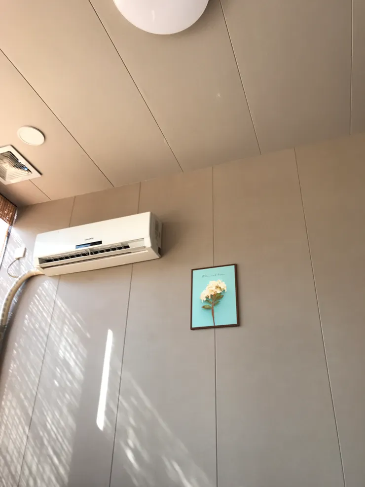 吃午飯那家餐廳的牆壁,算是好看的景物了。