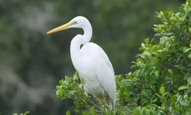 明顯看到眼下的咀裂線伸到眼後