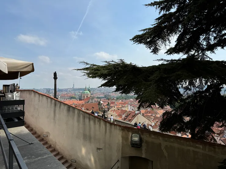 室外位置的景色