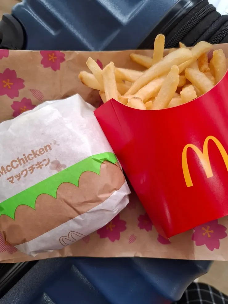 薯條熱熱的好好吃喔，不知道是不是我餓了。味道跟台灣的似乎不太同。