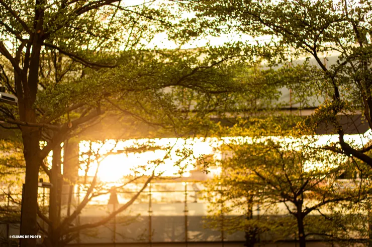 你就是光下的那個人