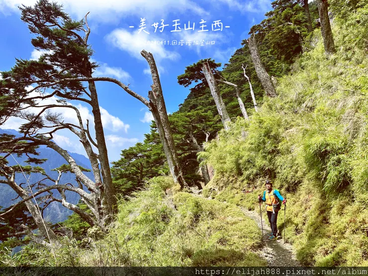 【玉山主峰西峰.兩天兩夜】冷到爆炸的玉山主峰賞雲海/一直走花