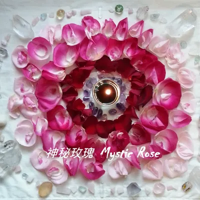 神秘玫瑰🌹MysticRose