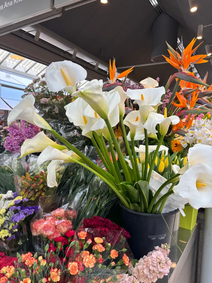 花販上的美麗鮮花