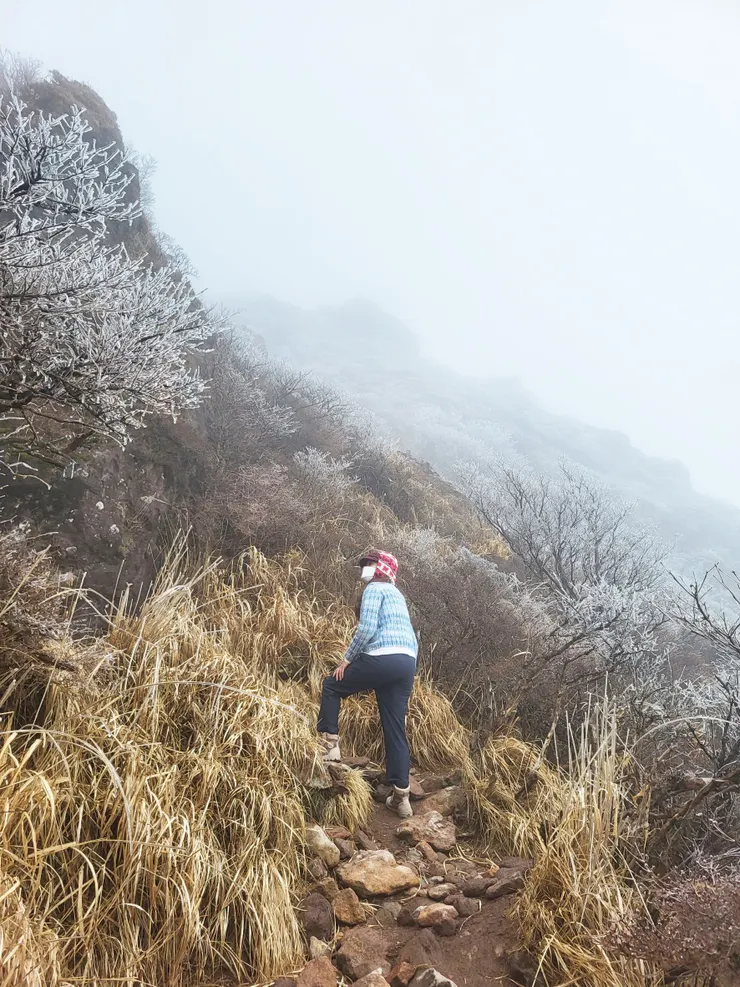 日本大分-由布岳 || 最後這段山路是抖上，我的腳也抖了