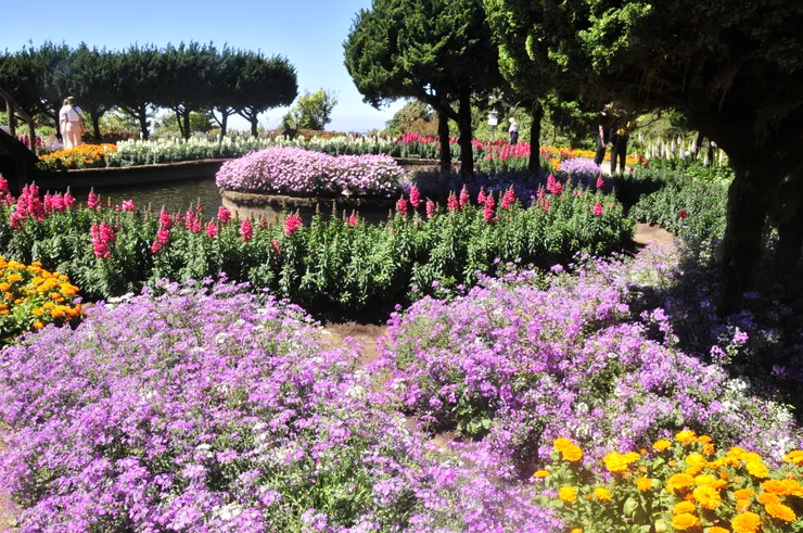 百花齊放的花園