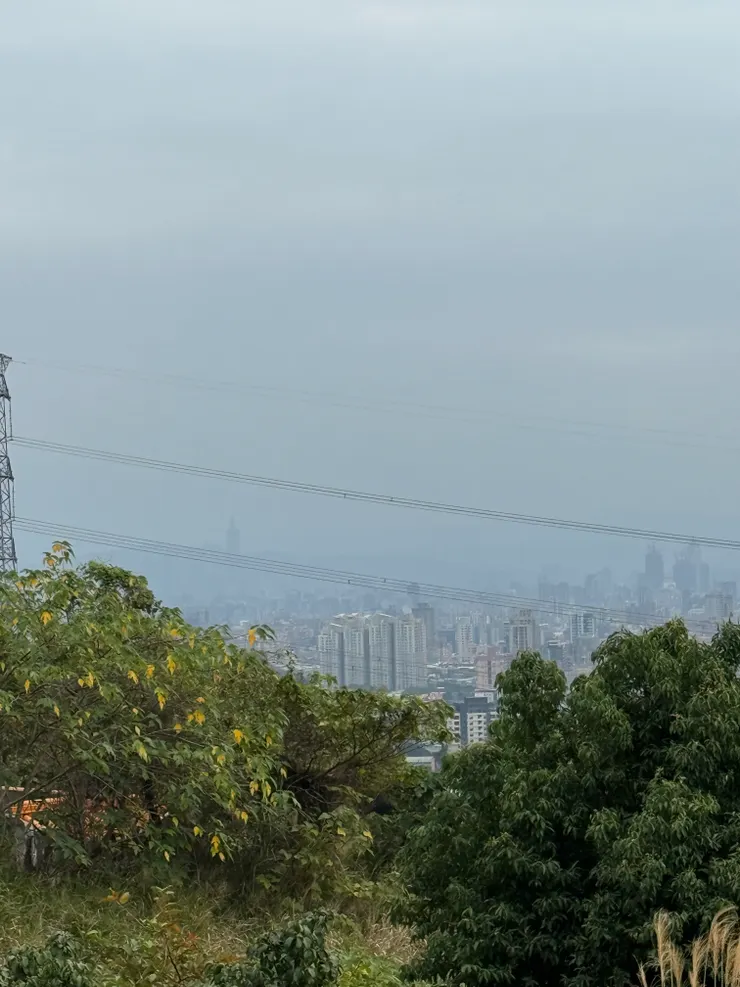 2026/02/19 遠處風景 (看得到 101)