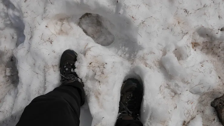 雪的深度，但其實看照片不準，後面走還蠻深的