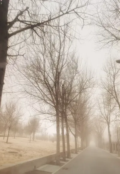 Jean Lu的法律沙龍