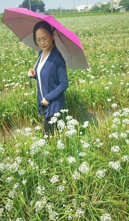 一直夢想要在韭花田裡搗韭花醬 辦場韭花盛宴